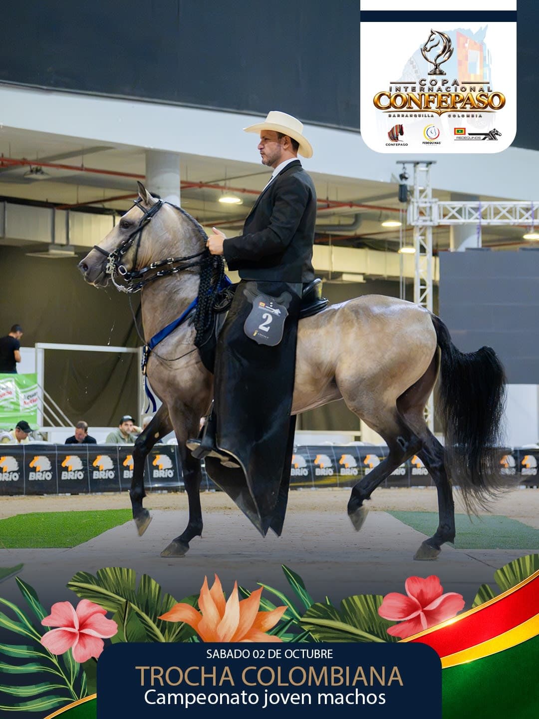 Foto de Eden de Hacienda Heinsen, Semental, Criollo Colombiano, Trocha Pura Colombiana (P3)