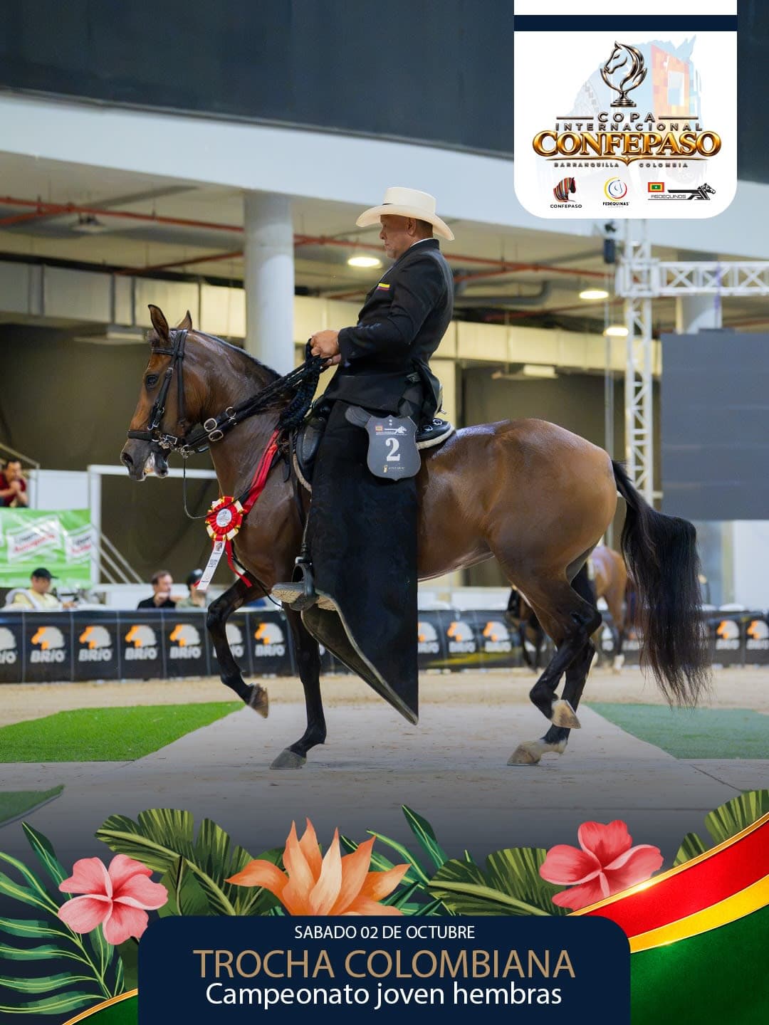 Foto de Dulcinea de la Realeza, Yegua, Criollo Colombiano, Trocha Pura Colombiana (P3)