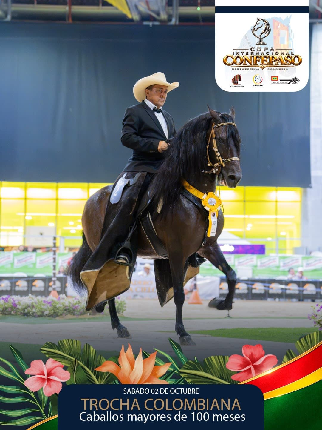Foto de Torbellino de Tierra Grata, Semental, Criollo Colombiano, Trocha Pura Colombiana (P3)
