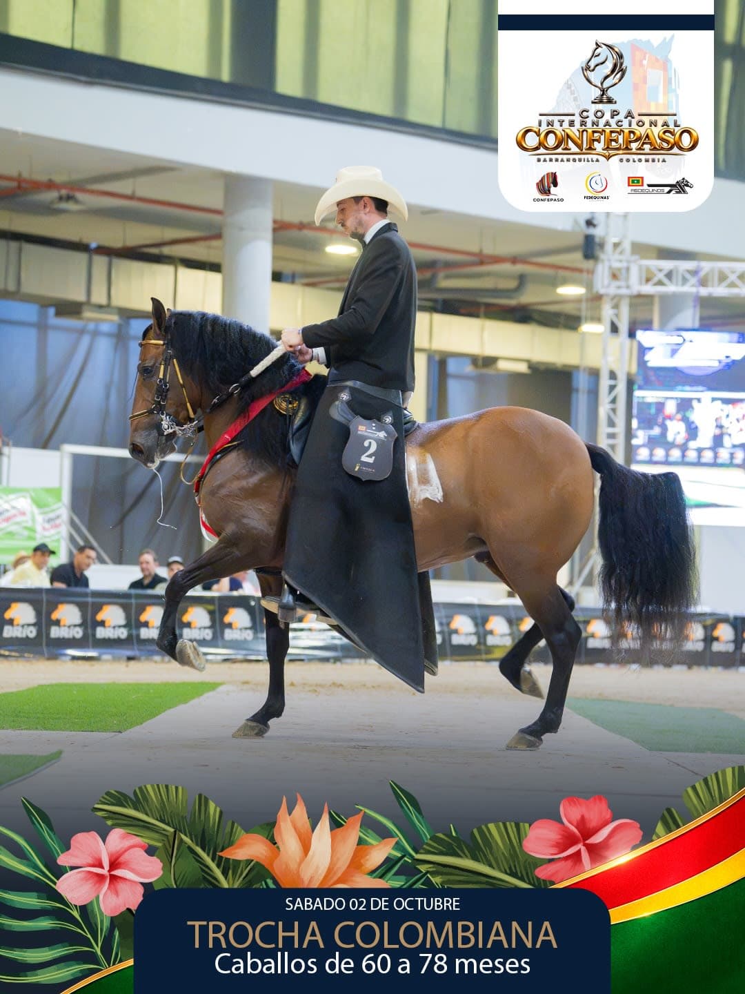 Foto de Balín de Madagascar, Semental, Criollo Colombiano, Trocha Pura Colombiana (P3)