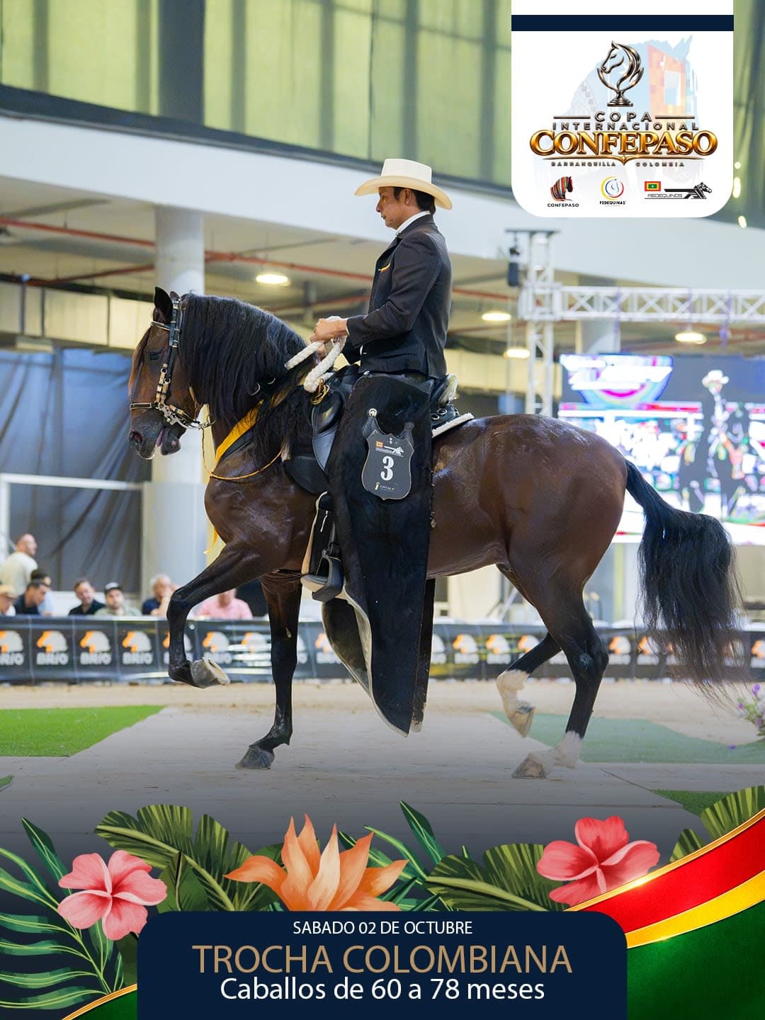 Foto de Morante de los Acantos, Semental, Criollo Colombiano, Trocha Pura Colombiana (P3)