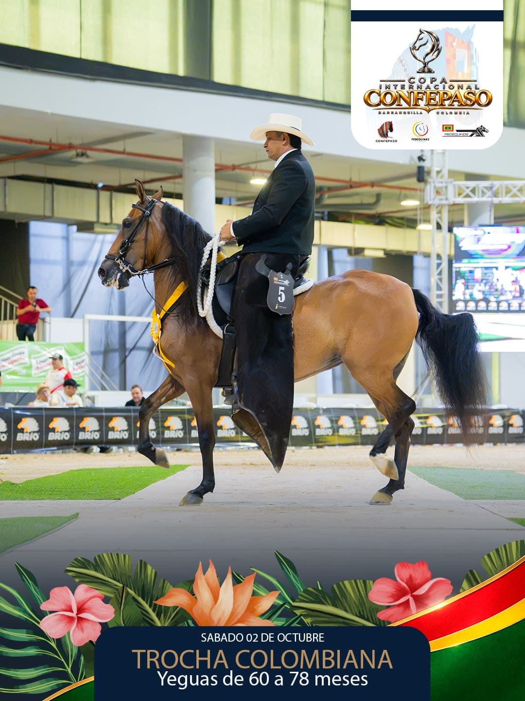 Foto de Gabbana de Veracruz, Yegua, Criollo Colombiano, Trocha Pura Colombiana (P3)