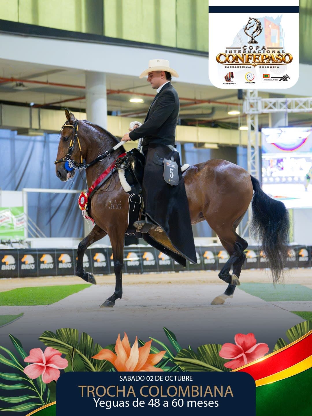Foto de Estrella de la Herradura, Yegua, Criollo Colombiano, Trocha Pura Colombiana (P3)