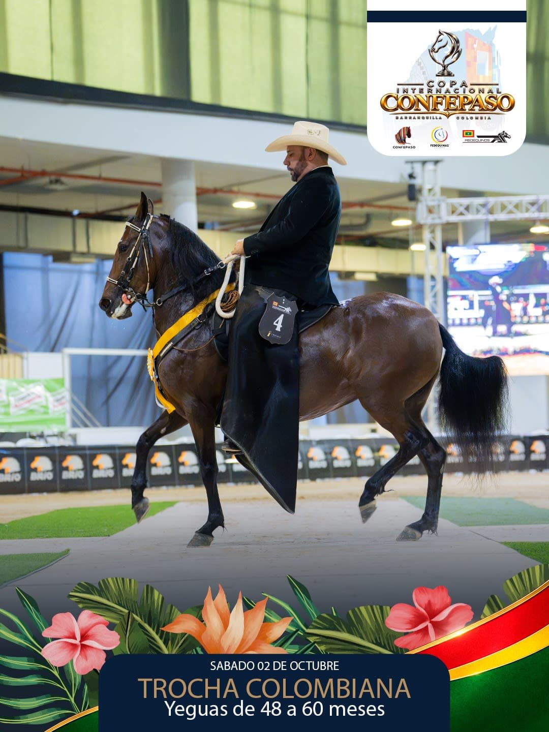 Foto de Antonella de la Rosa, Yegua, Criollo Colombiano, Trocha Pura Colombiana (P3)