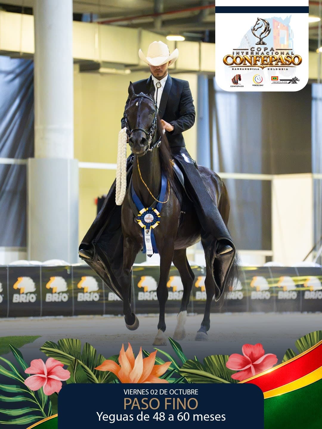 Foto de Pretendida de la Barataria, Yegua, Criollo Colombiano, Paso Fino Colombiano (P4)