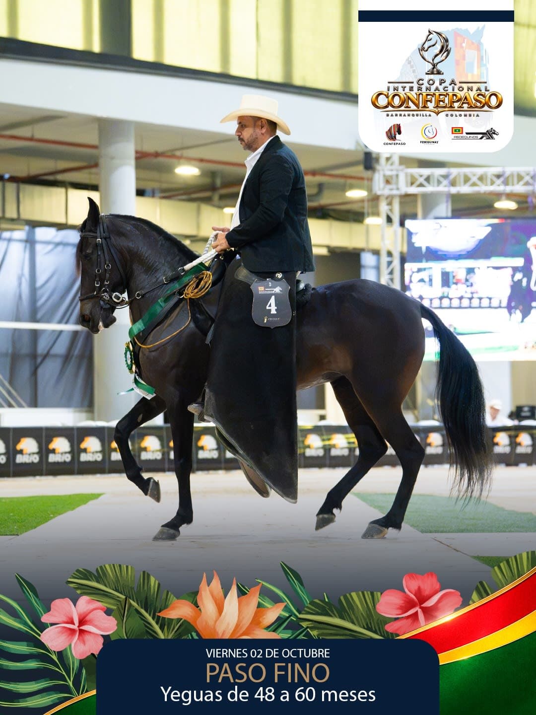 Foto de Picardía de San Miguel, Yegua, Criollo Colombiano, Paso Fino Colombiano (P4)