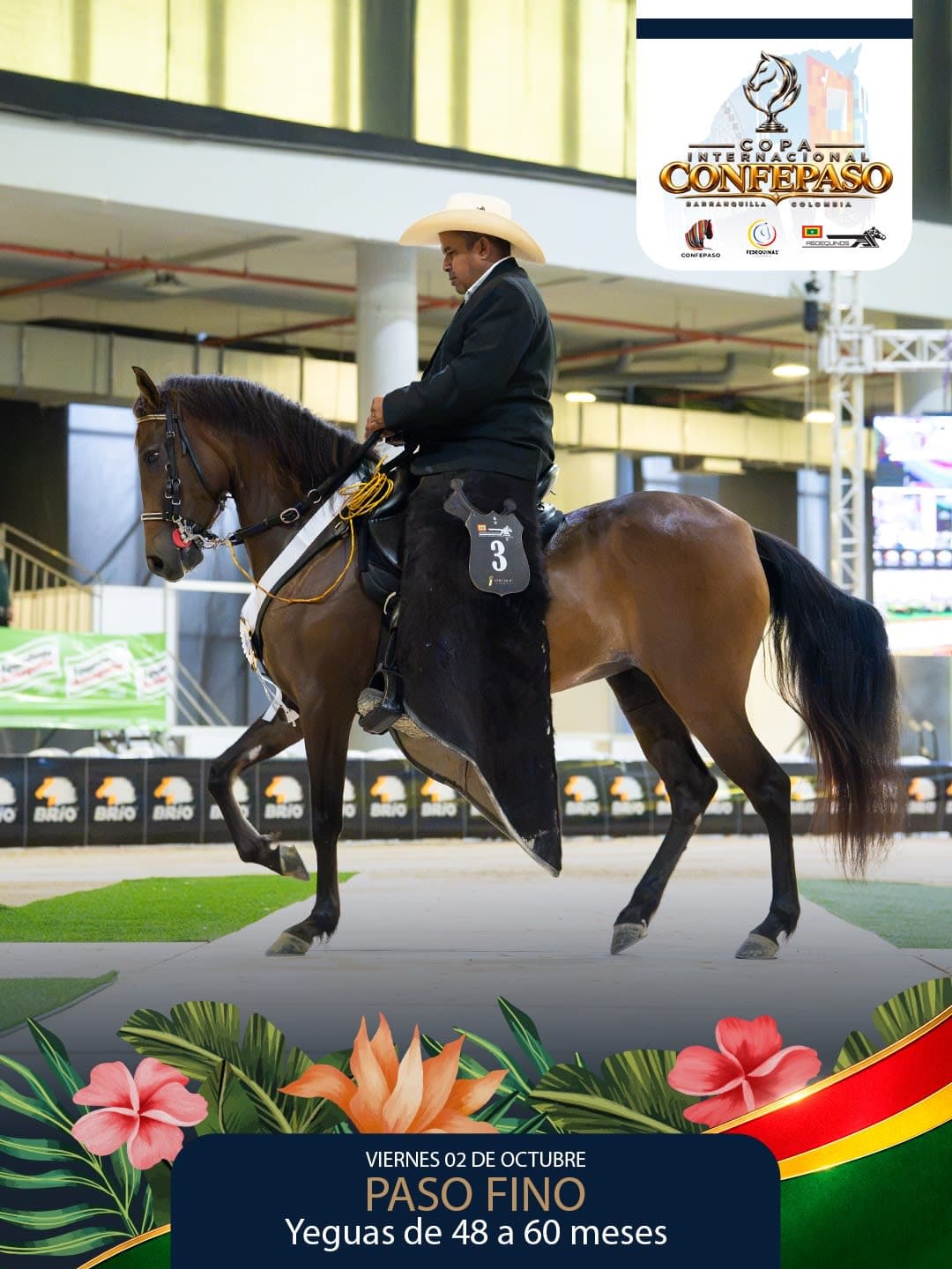 Foto de Mariposa de las Palmas, Yegua, Criollo Colombiano, Paso Fino Colombiano (P4)