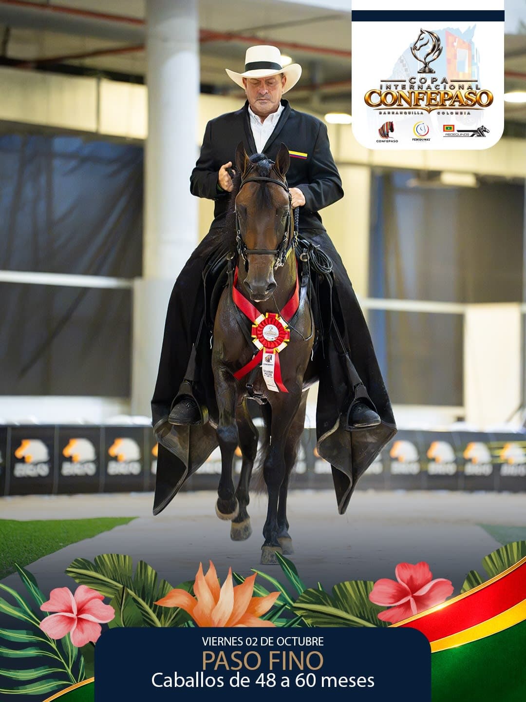 Foto de Da Vinci de la Ilusión, Semental, Criollo Colombiano, Paso Fino Colombiano (P4)