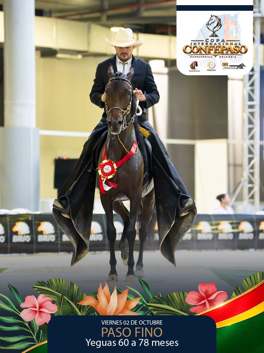 Foto de Serpentina del Astro, Yegua, Criollo Colombiano, Paso Fino Colombiano (P4)