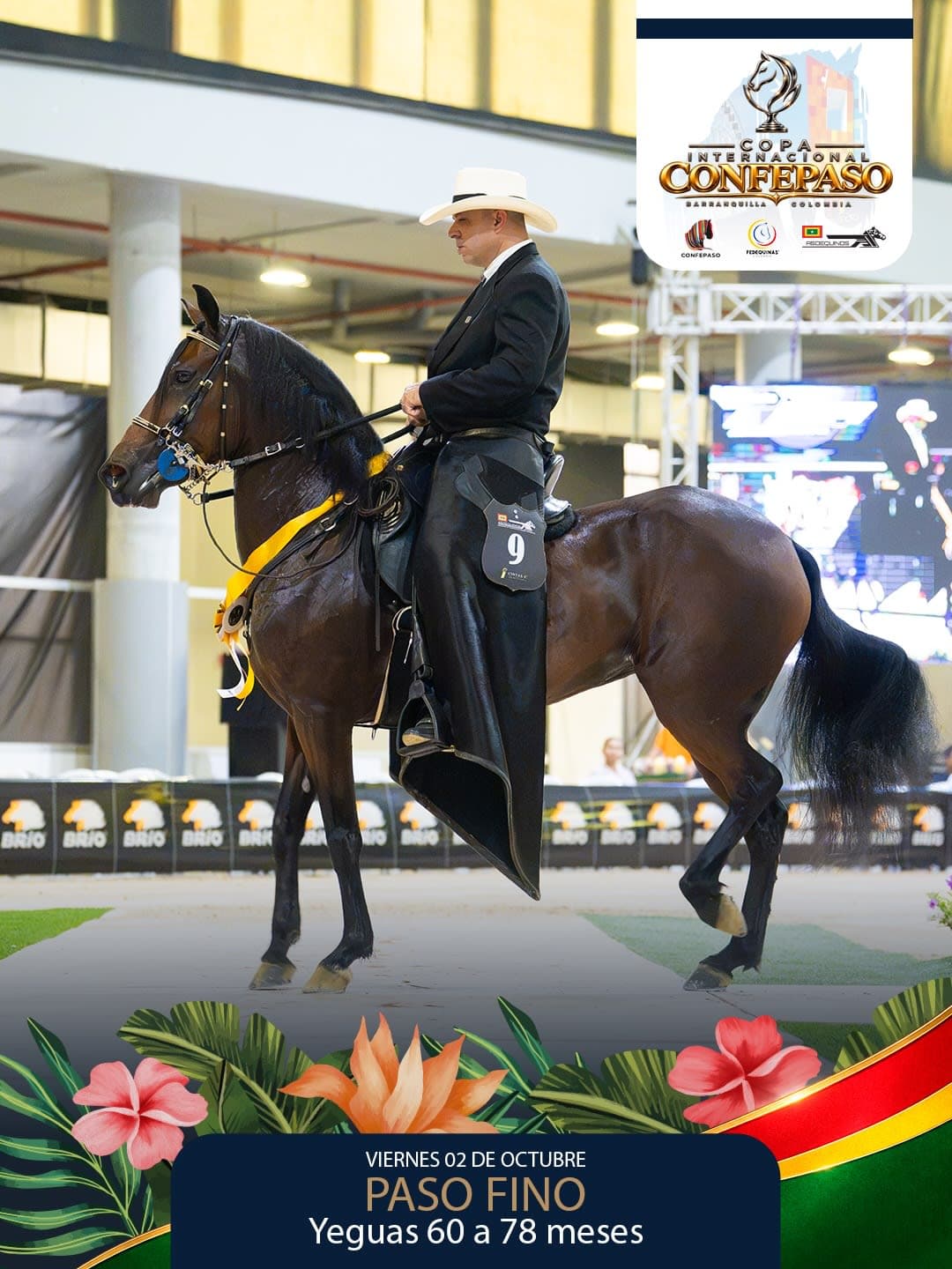 Foto de Princesa de la Luna, Yegua, Criollo Colombiano, Paso Fino Colombiano (P4)