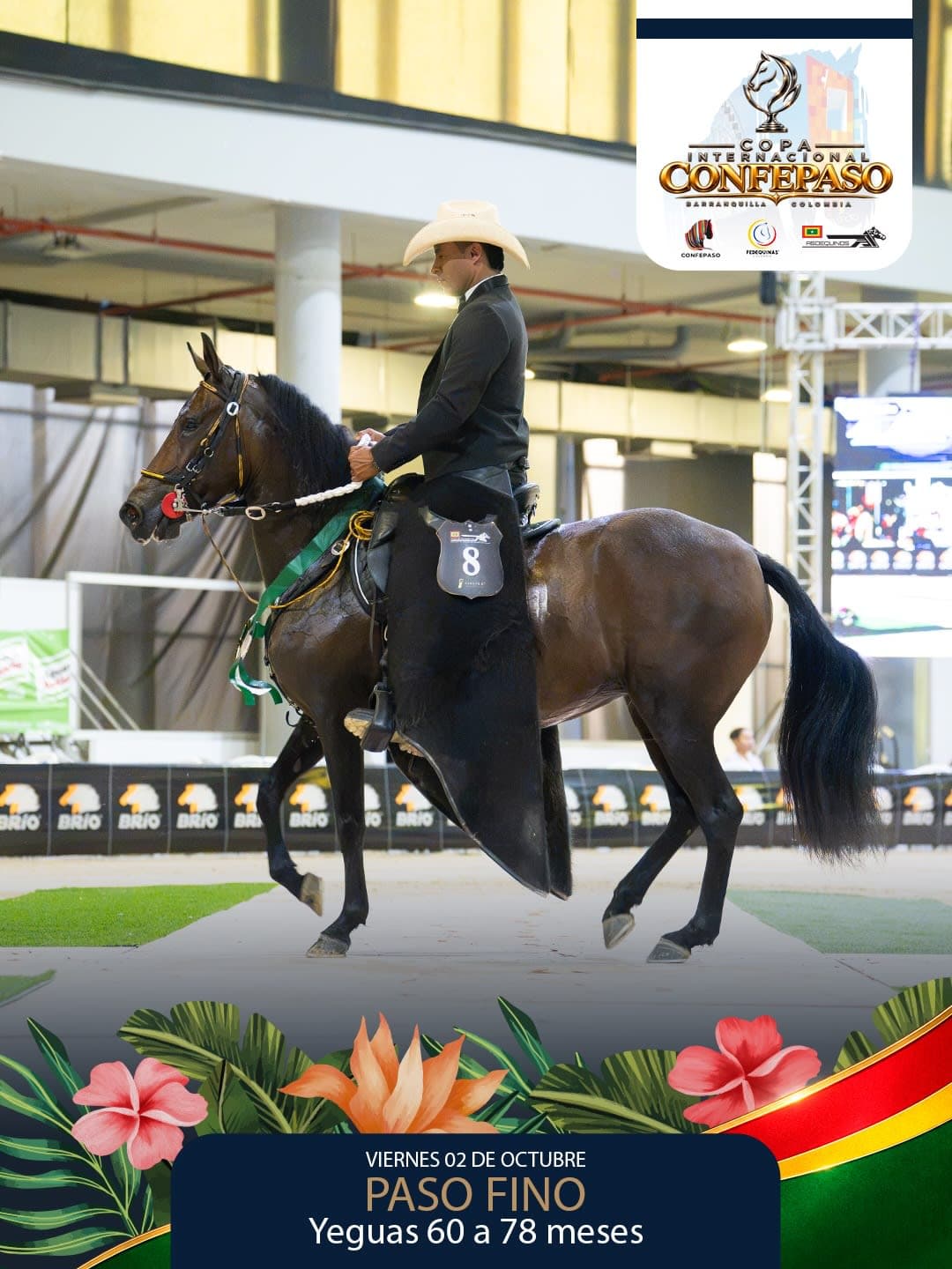 Foto de Kirakanela de Garlope, Yegua, Criollo Colombiano, Paso Fino Colombiano (P4)