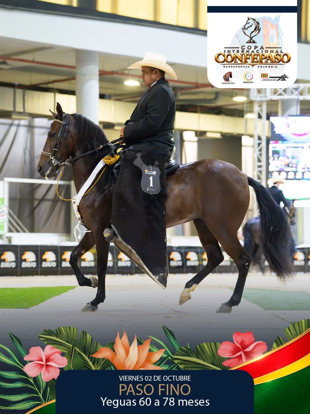 Foto de Paola de la Candelaria, Yegua, Criollo Colombiano, Paso Fino Colombiano (P4)
