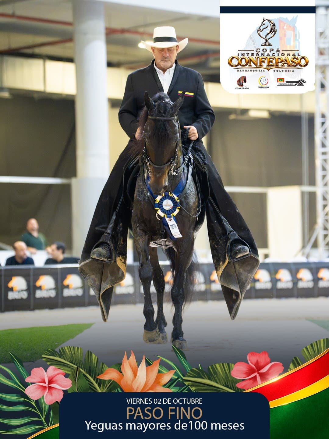 Foto de Gabriela de la Victoria, Yegua, Criollo Colombiano, Paso Fino Colombiano (P4)