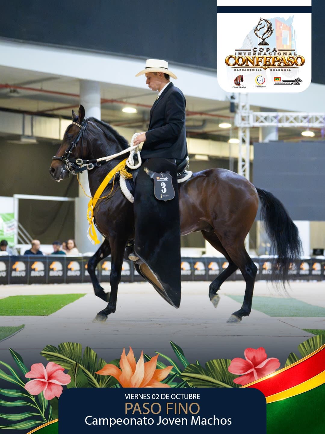 Foto de Sentimiento de la Martina, Semental, Criollo Colombiano, Paso Fino Colombiano (P4)