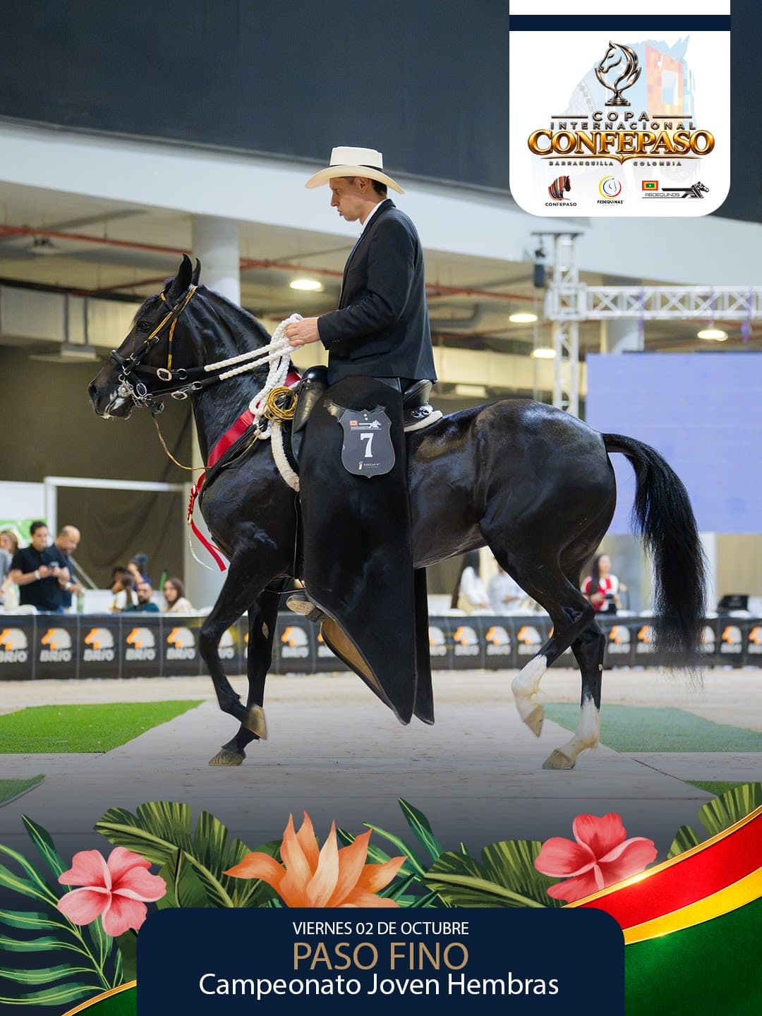 Foto de Atman de la Paula, Yegua, Criollo Colombiano, Paso Fino Colombiano (P4)