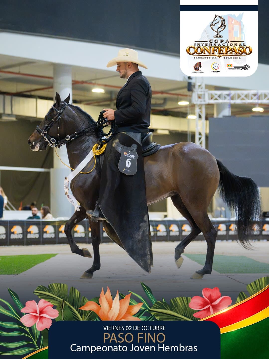Foto de Esperanza de VR, Yegua, Criollo Colombiano, Paso Fino Colombiano (P4)