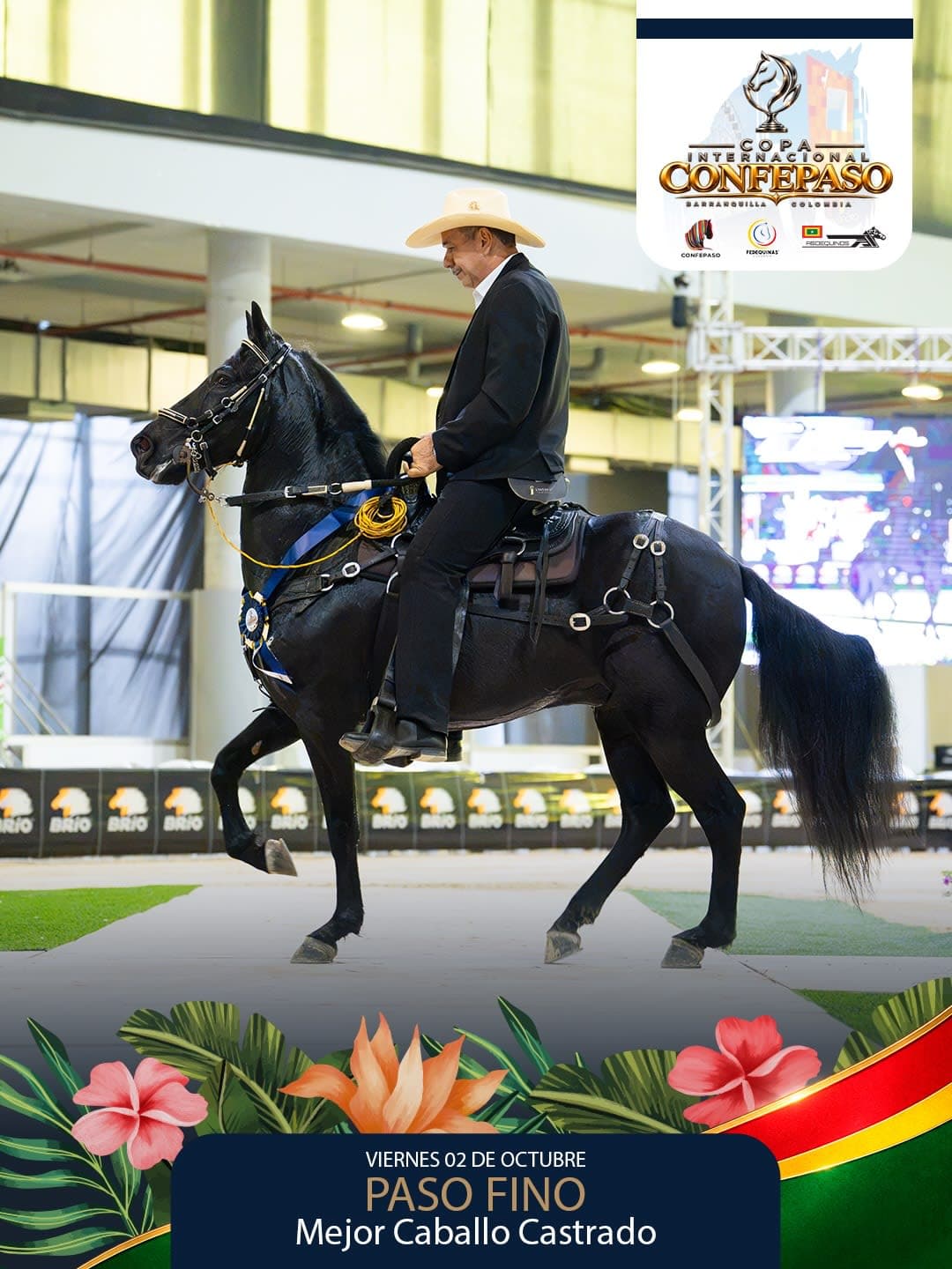 Foto de Azteca de Bethel, Castrado, Criollo Colombiano, Paso Fino Colombiano (P4)